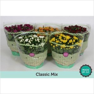chrclasic mix 28 23.0